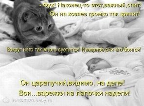 позитив