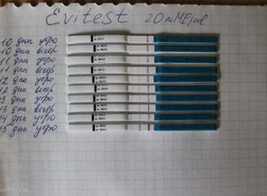 EVITEST