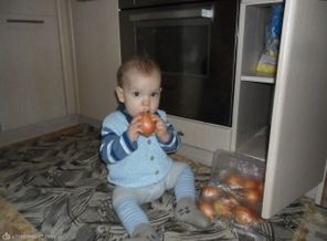 SAM_1631