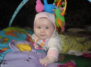 SAM_0828