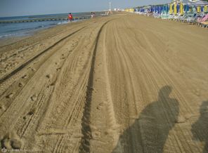 IMG_0497