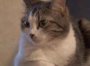 DSC00124
