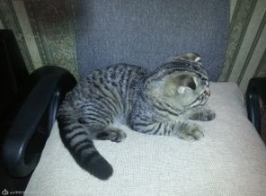 20130123_173854[1]