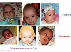 Сравнение
