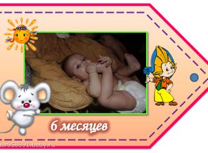 6 месяцев