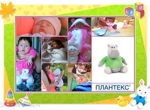 Жизнь моя