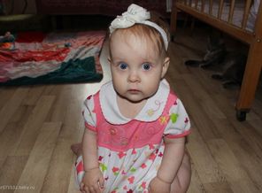 IMG_0306