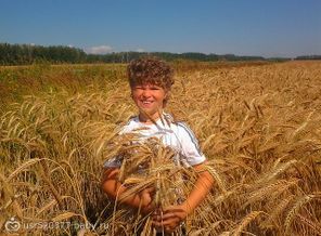 Мой пшеничный мальчик