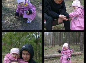 В хвойном лесу