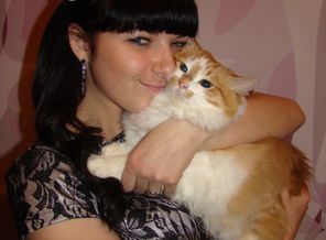 DSC03282