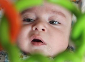 IMG_3032