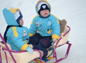 Наши санки.