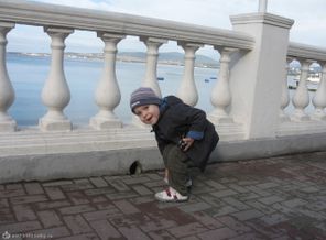 Кто там в норке спрятался?