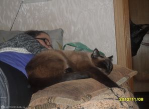 вот так мы спим)