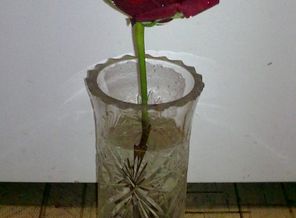 05022013602