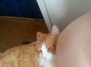 котя знакомится))