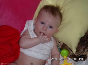 SAM_2743
