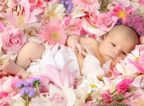 getImage (1)