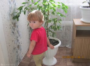 IMG_0029