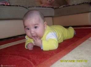 SAM_4587
