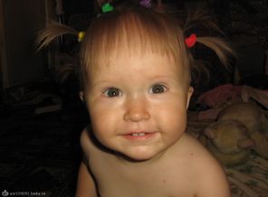 IMG_0004 (3)