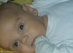 DSCN0800