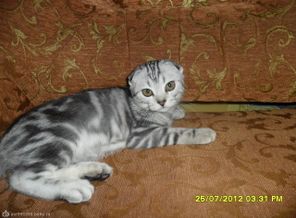 SAM_2521