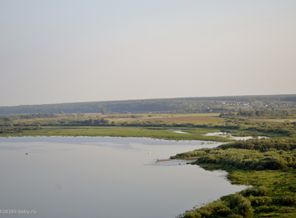_DSC4003