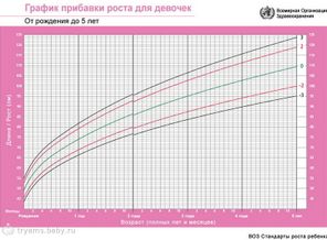 рост девочки