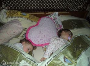 SAM_2559