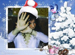 2122945_webka