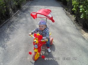 SAM_1397