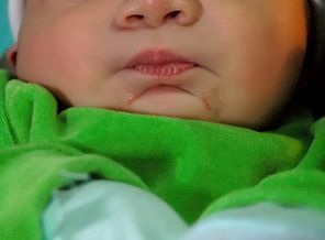 2607276882_2a80a6cd41