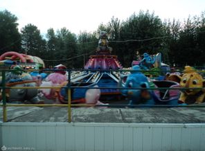 DSC05719