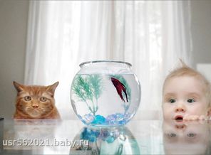 fish_cat_and_baby