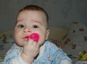 DSCN4038