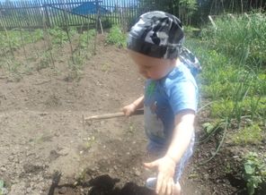 Мы гуляем и помогаем