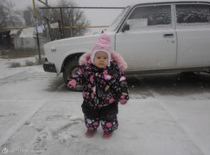 SAM_2895
