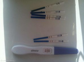 UQamx4p-0Gw