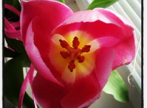 IMG_20130517_210953