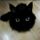 КотоМячик