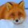 Foxyk