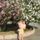 Alena